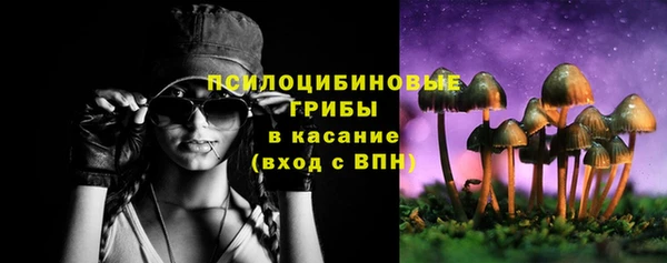 молекула духа Балахна