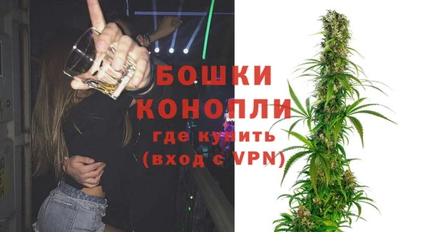 молекула духа Балахна