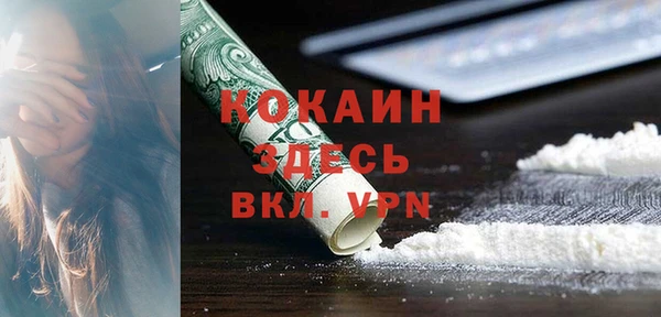 молекула духа Балахна
